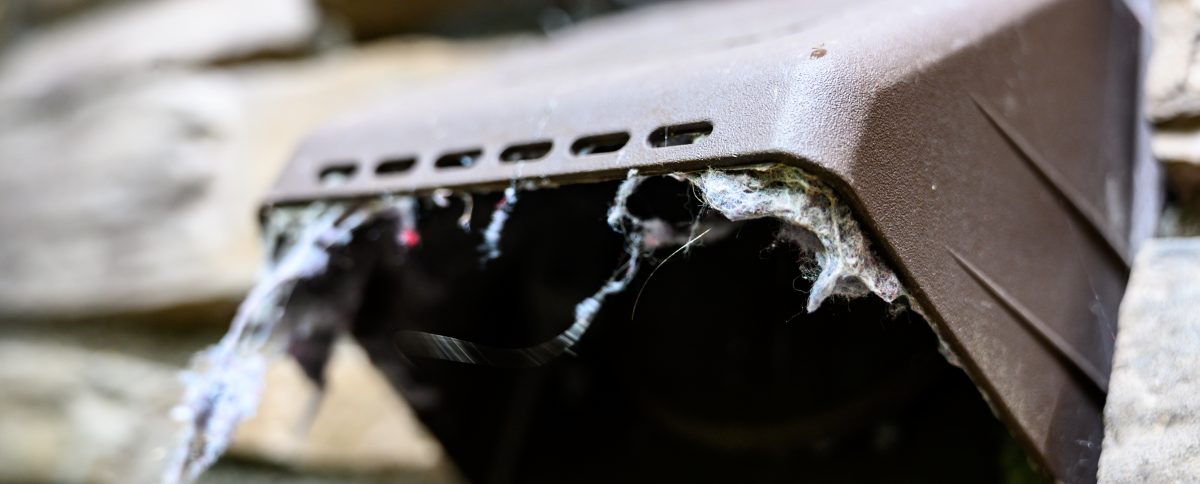 7 Home Maintenance Tasks to Dryer Duct Cleaning