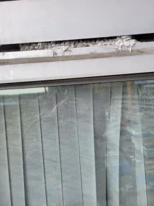 Professional Dryer Vent Cleaning Service: Safety, Efficiency, and Savings