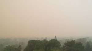 wildfire effects