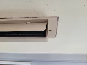 Alternative to a Dryer vent screen