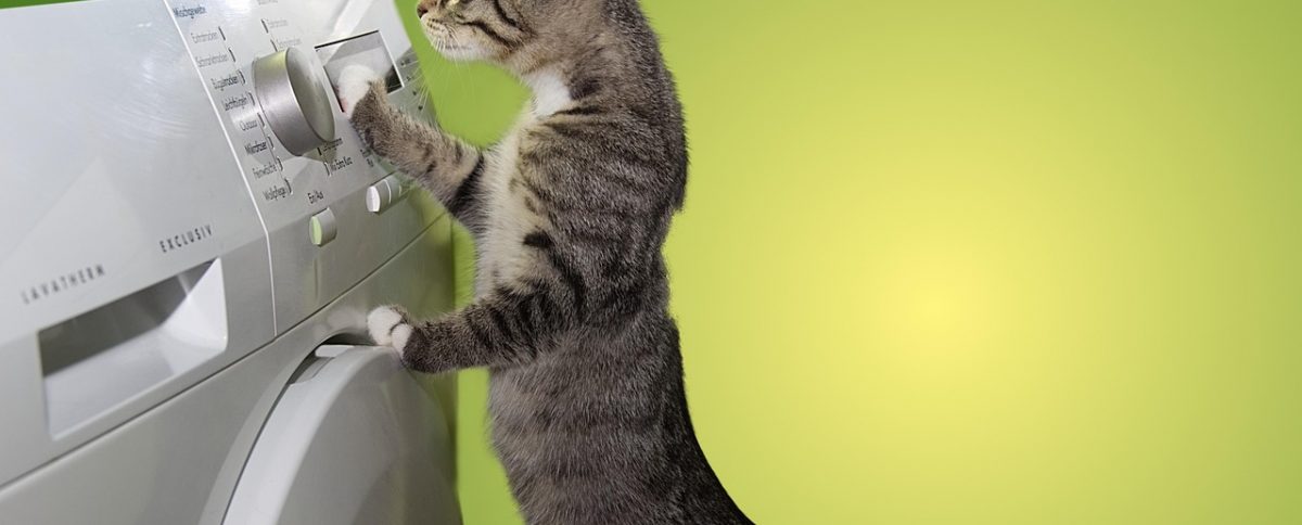 Educating Residents in Vancouver Strata Buildings About Dryer Vent Safety