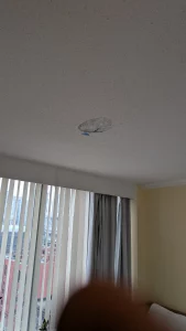 Ceiling Leak